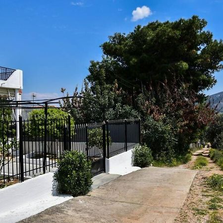 Μονοκατοικία Δίπλα Στην Θάλασσα Саламис Экстерьер фото
